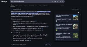 AI-attekintes a Google magar nyelvu talalati listajan