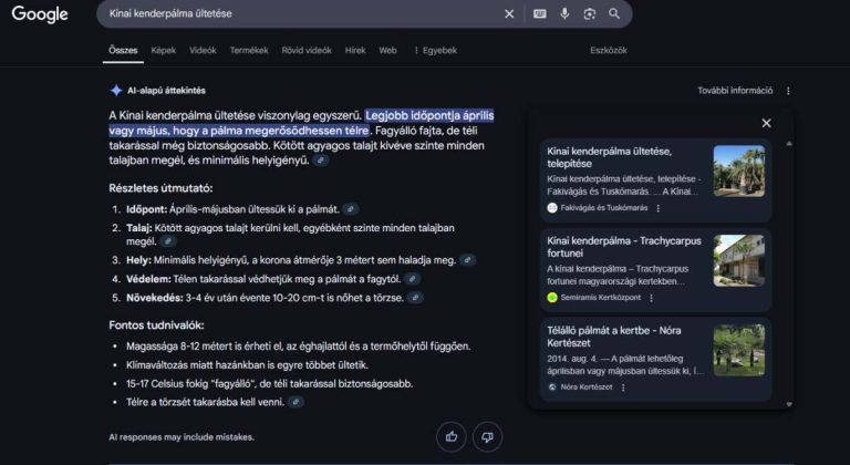 AI-attekintes a Google magar nyelvu talalati listajan